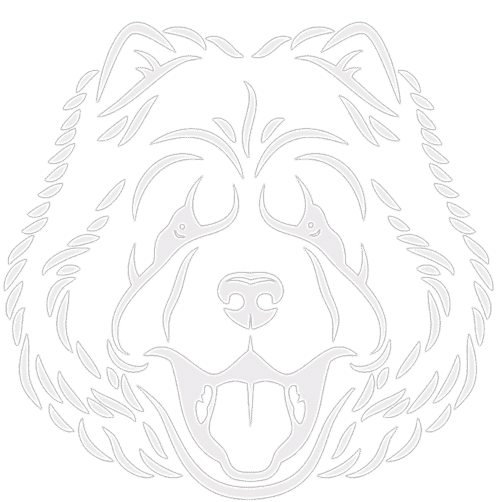 norvec-pet-beyaz-logo